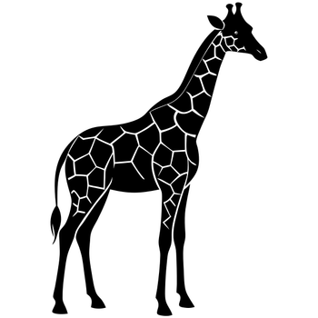 1 (3320).png
